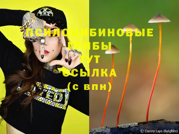кокаин Дмитров