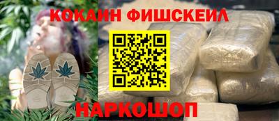 СК Новодвинск