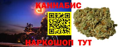 СК Новодвинск