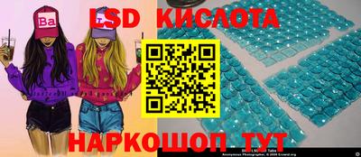 винт Новокубанск