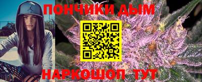 СК Новодвинск
