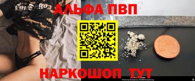 СК Новодвинск
