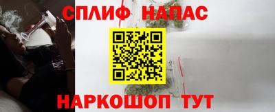 СК Новодвинск