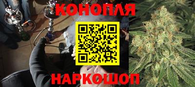 СК Новодвинск