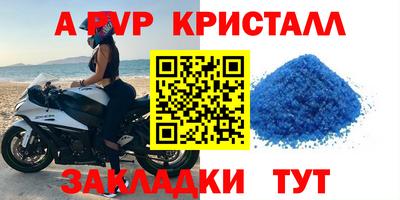 СК Новодвинск