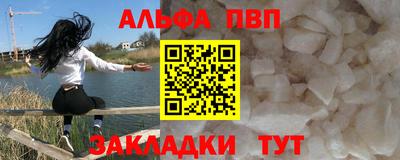 СК Новодвинск
