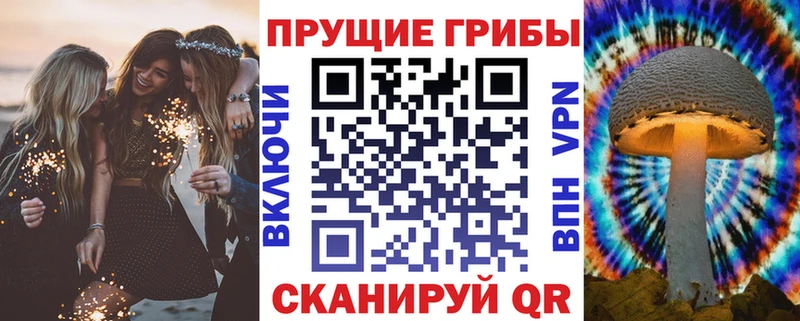 darknet официальный сайт  мега tor  Радужный  где продают наркотики  Галлюциногенные грибы MAGIC MUSHROOMS 