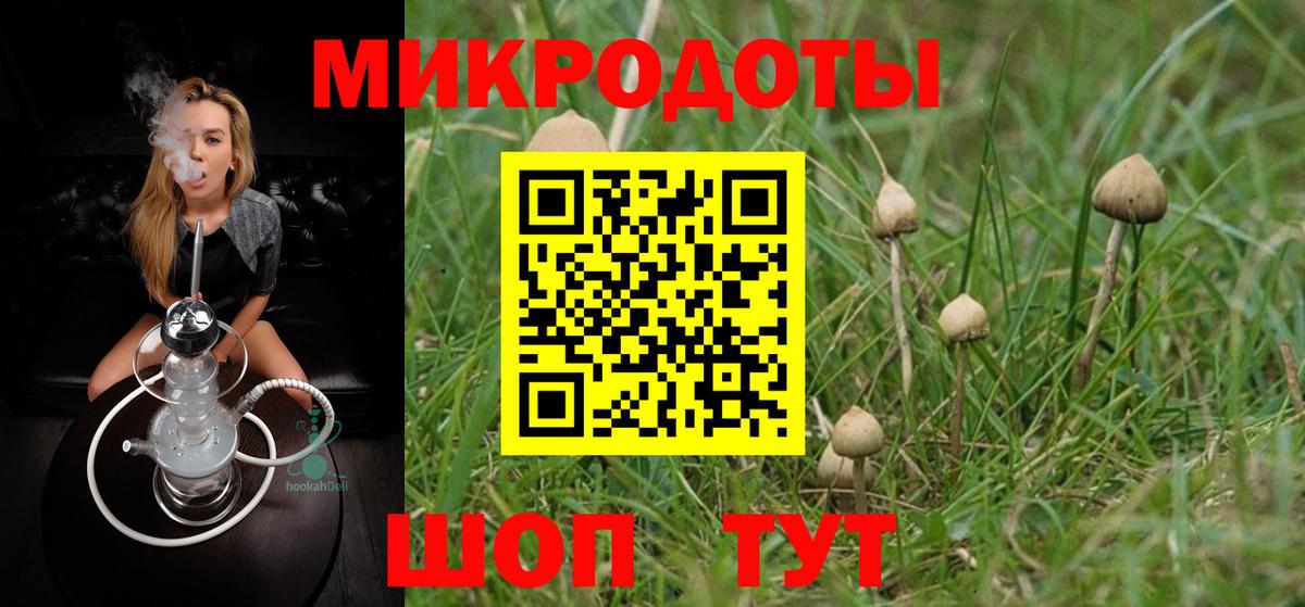 Псилоцибиновые грибы Psilocybe Радужный